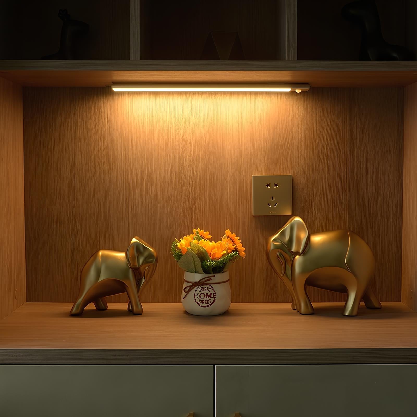 Cordless Motion-Activated Lamp