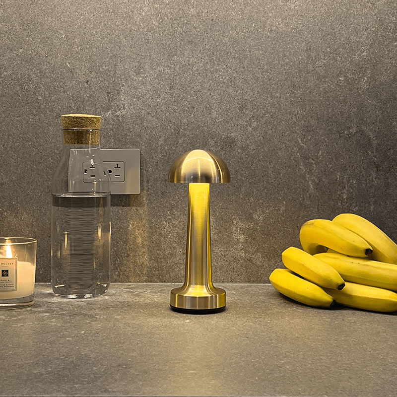 Modern Minimalist Iron & Acrylic Lamp